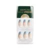 French Hen -Nail Shop DD PO609 FrenchHen HOL23 Pack