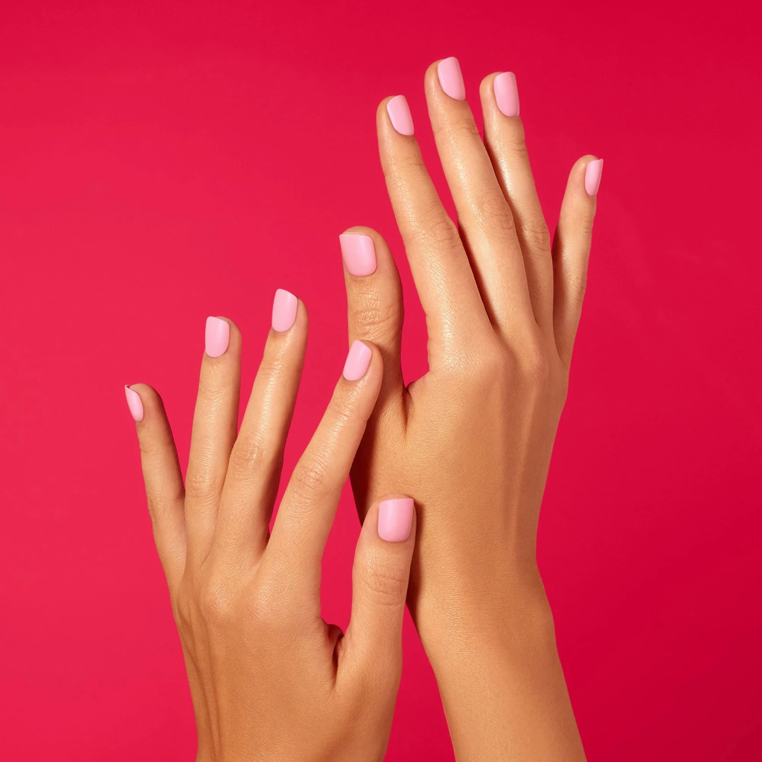 Pink Flamingo 4 Pink Flamingo - Image 2