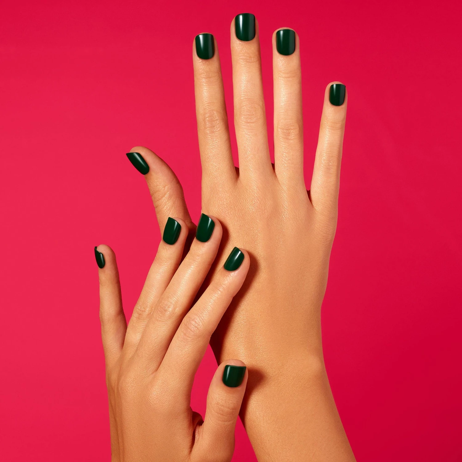 Palm Leaf 4 Palm Leaf - Image 2